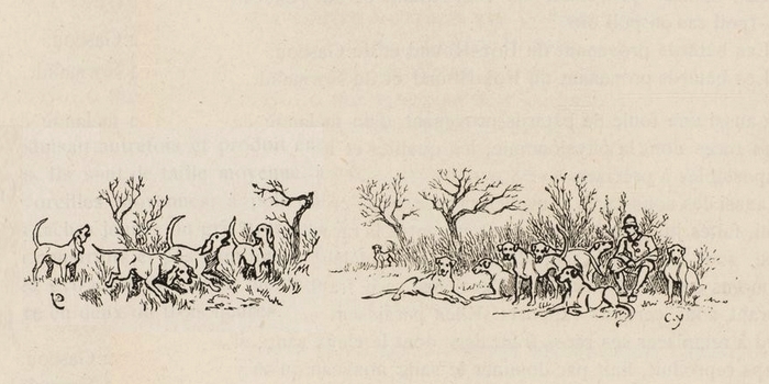 Illustration tirée du Manuel de Vènerie française - Emmanuel Le Couteulx de Canteleu (1890) - Hachette et Cie (Paris) - BnF (Gallica) (6)